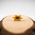Clay Ring