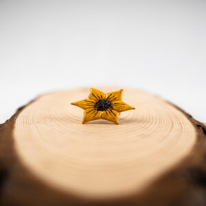 Clay Ring